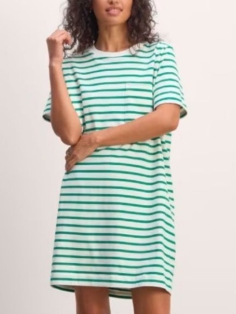 Everlane Oversized Tee Dress in Green Stripe